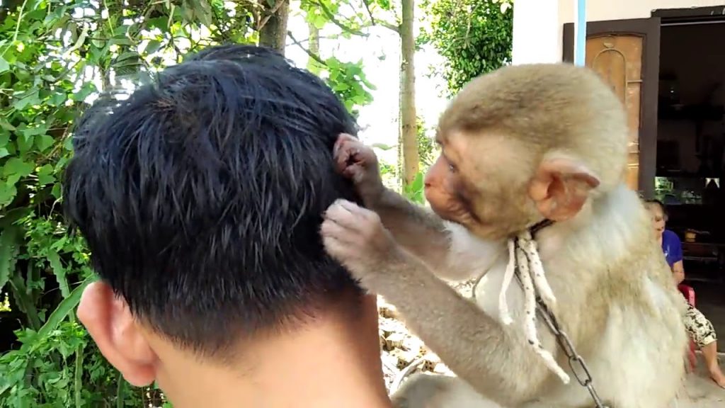 mơ thấy bắt chấy cho người khác